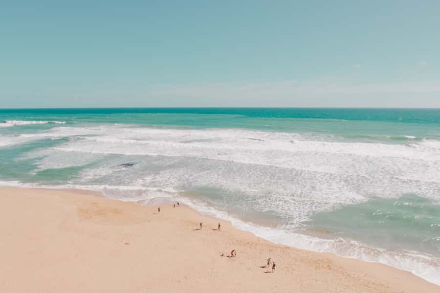 Melbourne: 12 Apostles, Otways & Great Ocean Road Day Tour - Apollo Bay and the coastal road