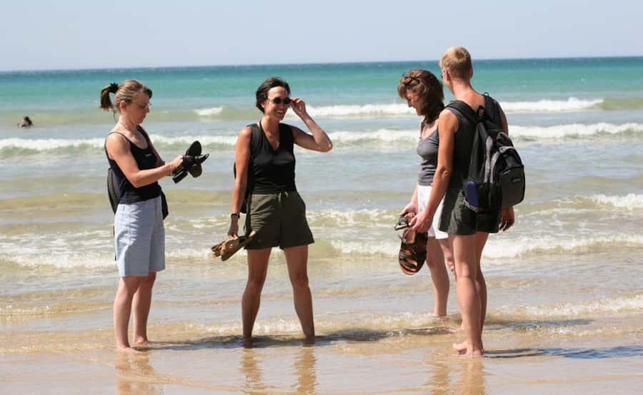 Melbourne: 12 Apostles Sunset Tour - Less Crowds - Kennett River is the wildlife highlight