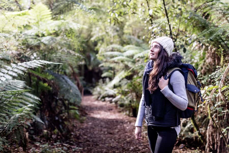 Melbourne: 2-Day Great Ocean Road & Grampians Tour - Great Otway National Park and the rainforest walk
