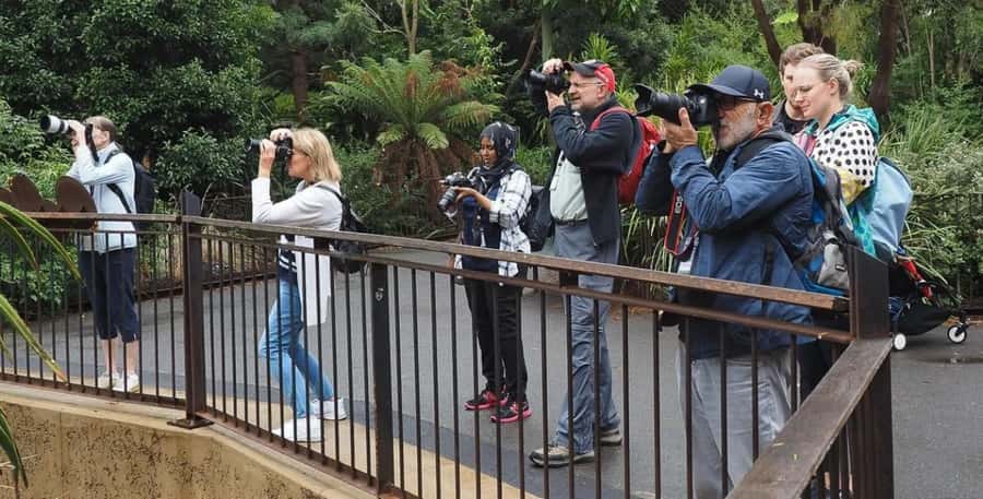 Melbourne City Surrounding Sightseeing Tour - MCG, Olympic Park, and Melbourne’s sporting identity