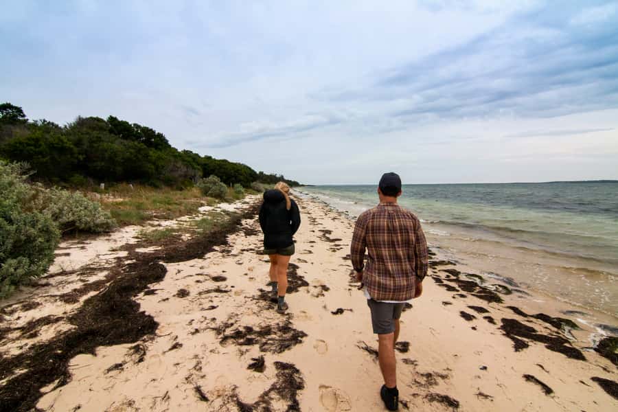 Melbourne: French and Phillip Island Wildlife Expedition - Crossing to Phillip Island