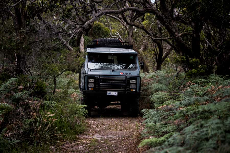 Melbourne: French and Phillip Island Wildlife Expedition - Guides make a real difference