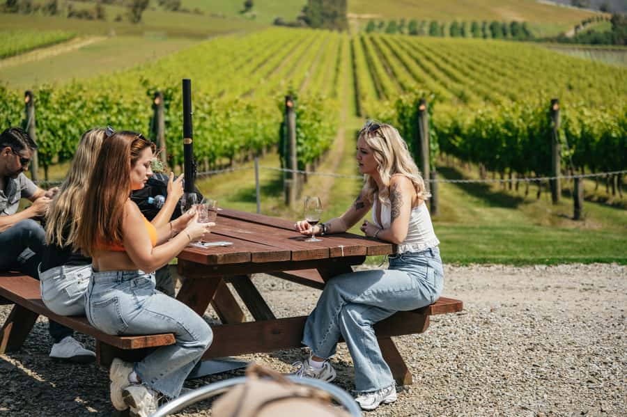 Melbourne: Full-Day Yarra Valley Wine Experience with Lunch - Greenstone starts the day with tasting basics