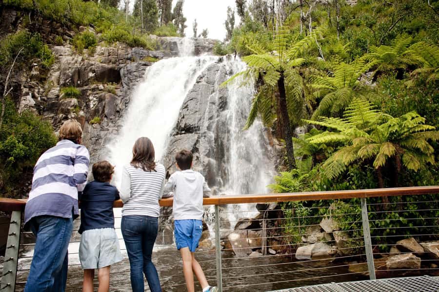 Melbourne: Lake Mountain Snow Day and Waterfalls & Chocolate - Key points to know before you book