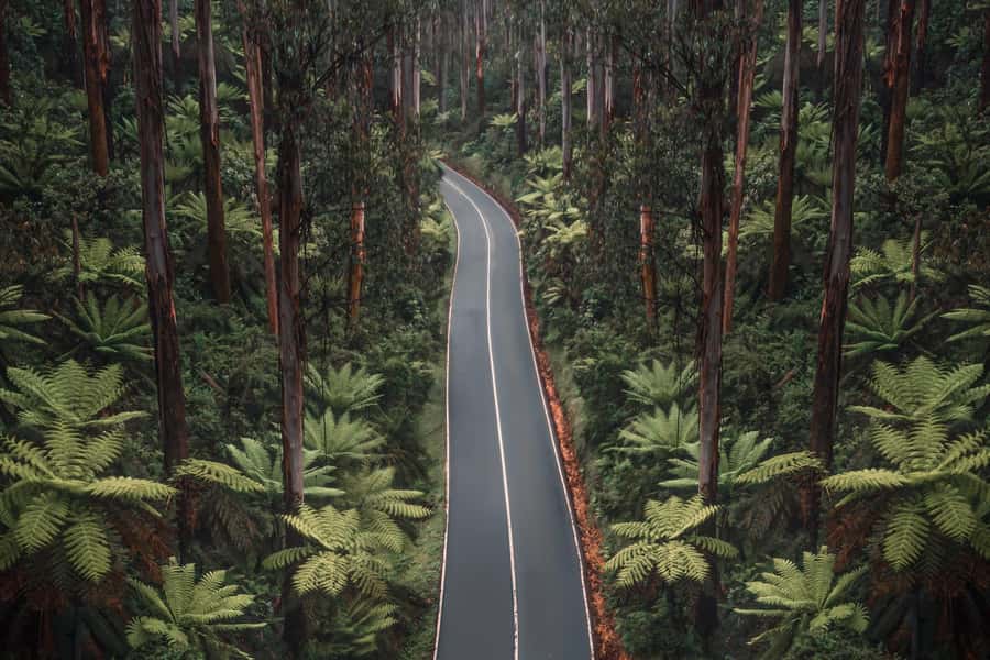 Melbourne: Lake Mountain Snow Day and Waterfalls & Chocolate - What the $127 price really covers