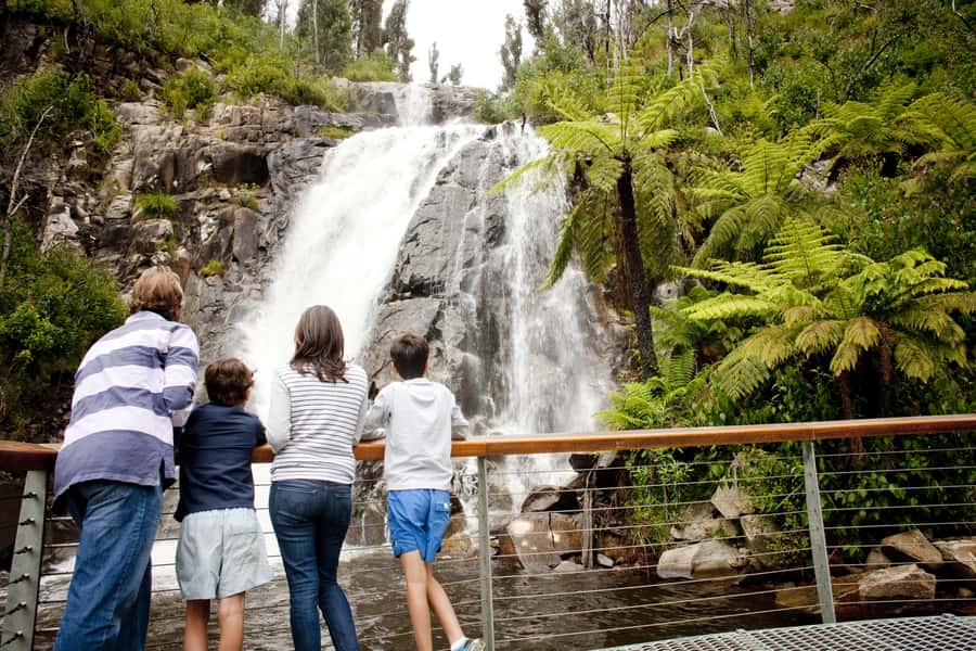 Melbourne: Lake Mountain Snow & Waterfalls Guided Tour - Steavenson Falls brings a quieter change of pace