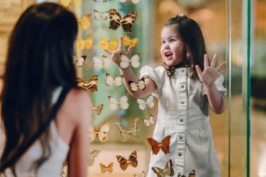 Melbourne: Melbourne Museum Entry Ticket - The Children’s Gallery for younger visitors