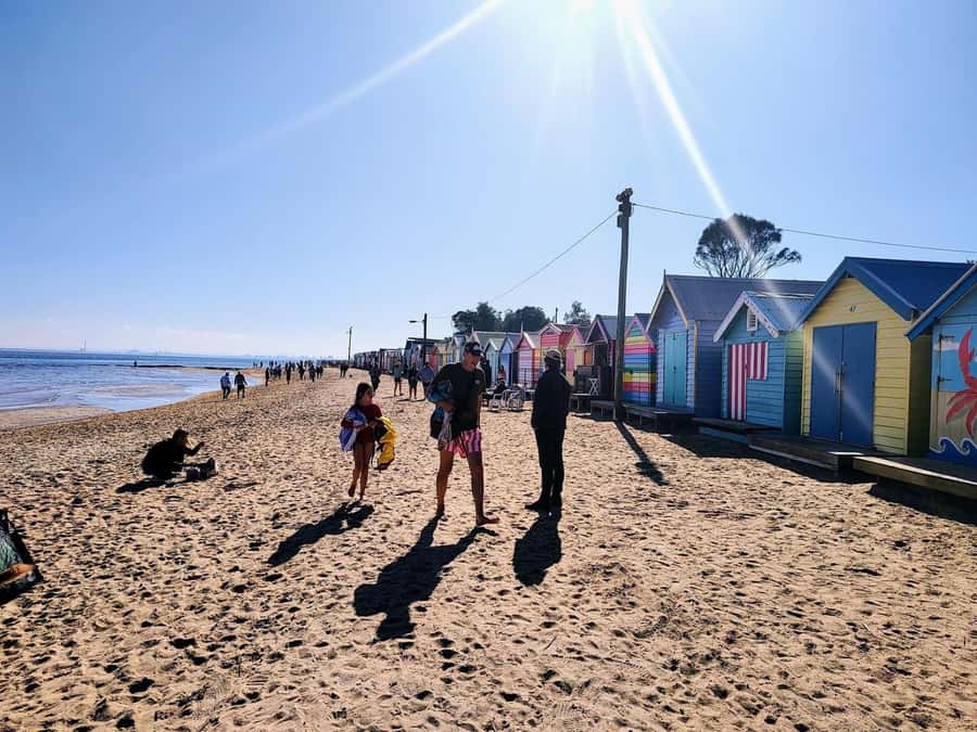 Melbourne: Moonlit Sanctuary and Brighton Beach Boxes Tour - Five things to know before you book
