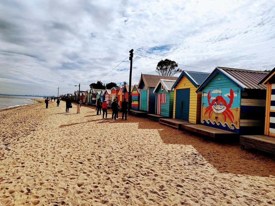 Melbourne: Moonlit Sanctuary and Brighton Beach Boxes Tour - Is $73 good value?
