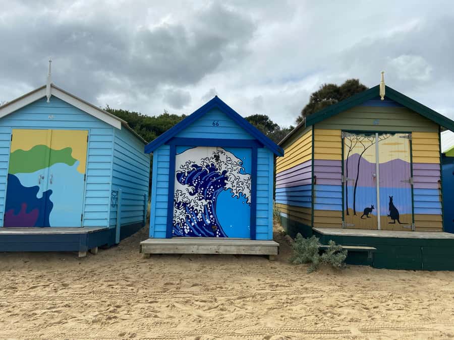 Melbourne: Moonlit Sanctuary and Brighton Beach Boxes Tour - Starting from Melbourne hotels