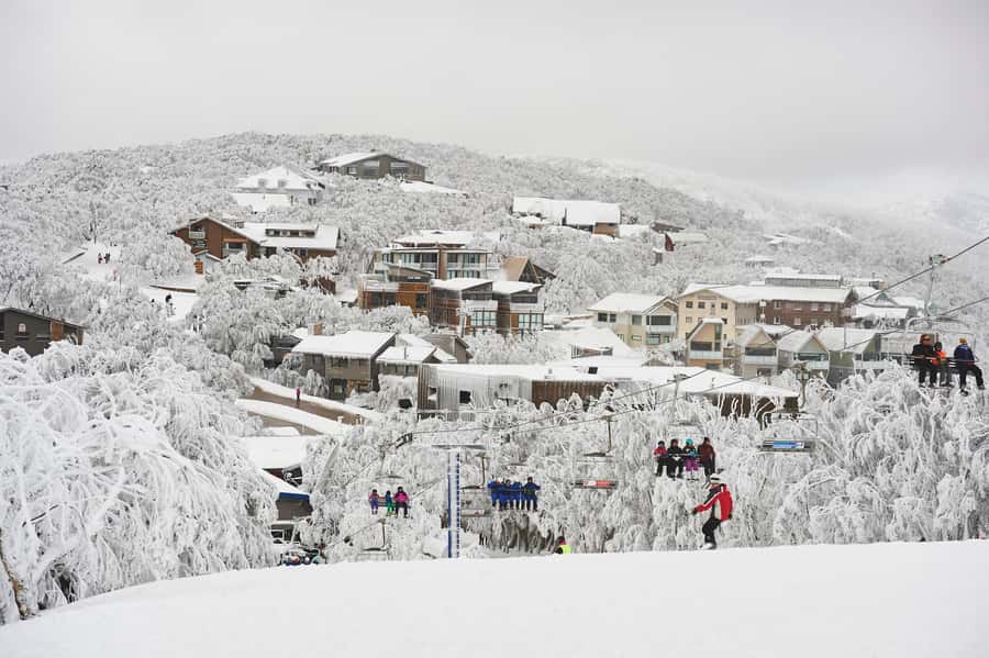 Melbourne: Mt Buller Snow Tour-Save on Hire & True 5 Hrs Fun - Who this Mt Buller day trip suits best