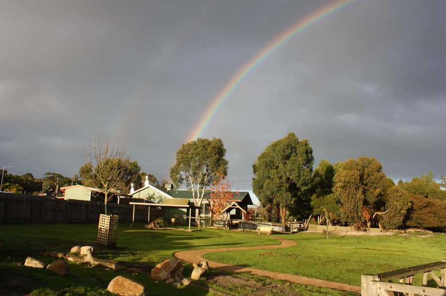 Melbourne: Penguin Parade Tour with Puffing Billy Train Ride - The Nobbies viewpoint and Phillip Island’s coast