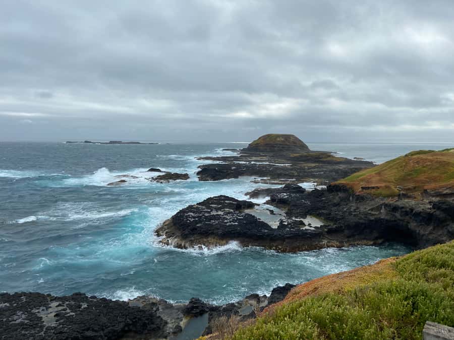 Melbourne: Phillip Island Tour & Penguin Parade - Should you book the Phillip Island Penguin Parade tour?