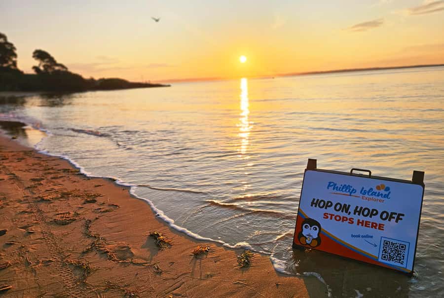 Melbourne: Phillip Island Tour w/ Hop-on Bus or Seal Cruise - Comfort, Weather, and What to Pack