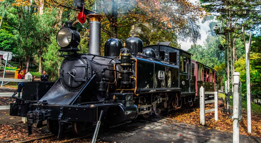 Melbourne: Puffing Billy & Healesville Sanctuary Scenic Tour - Guides are a major part of the value
