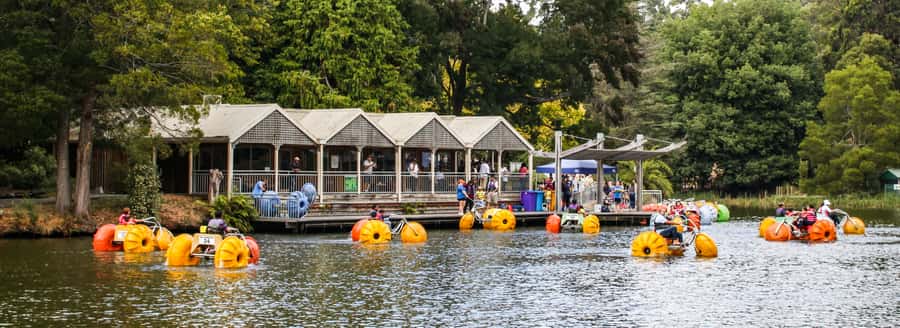 Melbourne: Puffing Billy & Healesville Sanctuary Scenic Tour - The timing, group size, and comfort questions