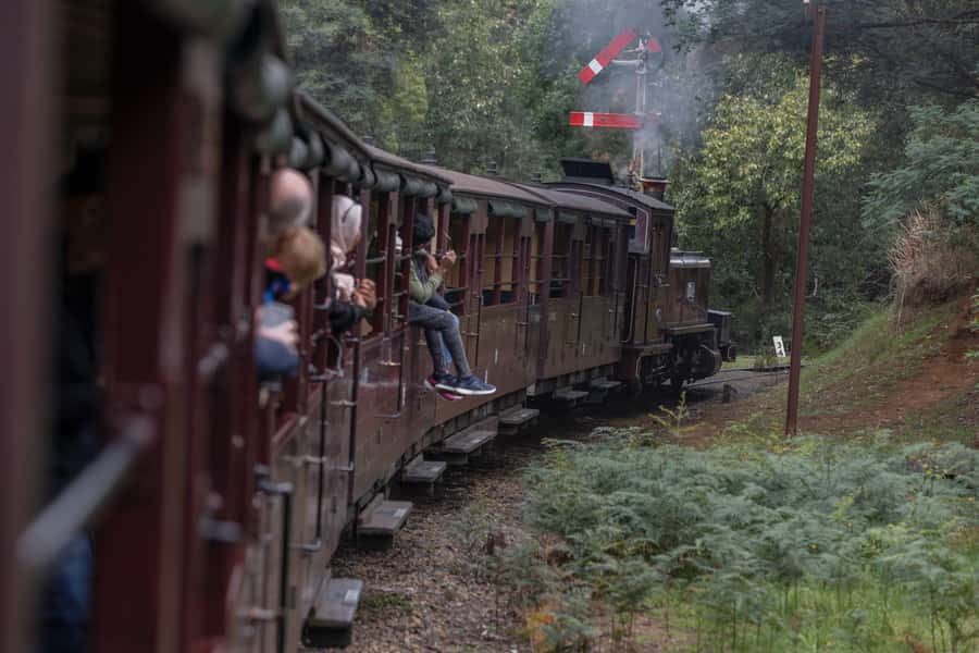 Melbourne: Puffing Billy Railway & Penguin Parade Day Tour - Who should book this tour?