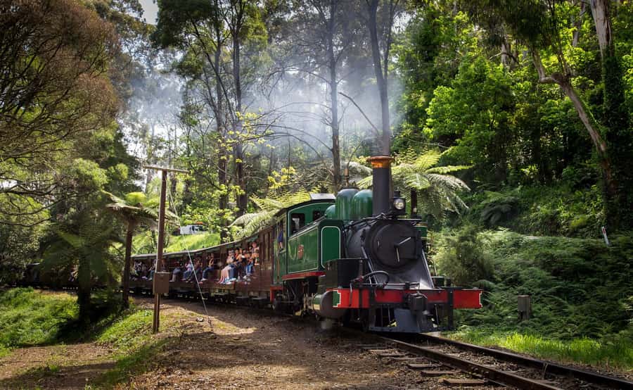 Melbourne: Puffing Billy Railway & Rainforest Tour - Timing, meals, and what to pack
