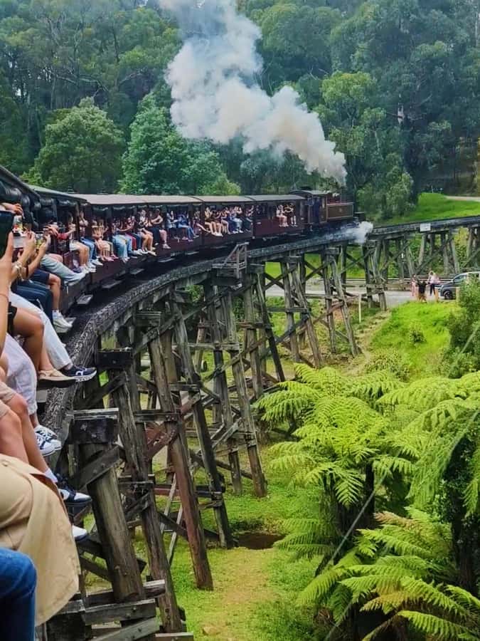 Melbourne: Puffing Billy Train and Penguin Island Day Tour - The optional 45-minute Maru animal stop