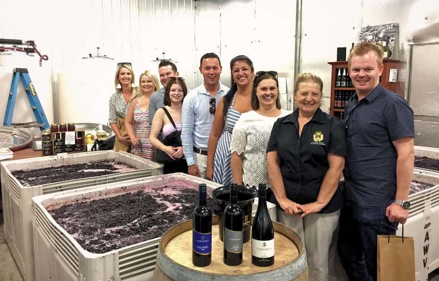 Melbourne: Relaxed Half-Day Yarra Valley Wine Tour - Key points to know before booking