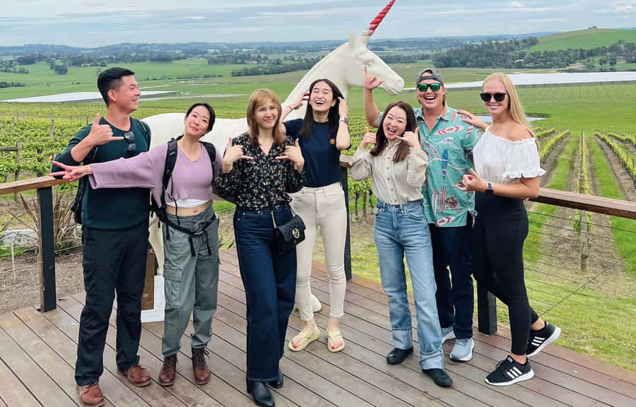 Melbourne: Relaxed Half-Day Yarra Valley Wine Tour - The social side and guide quality