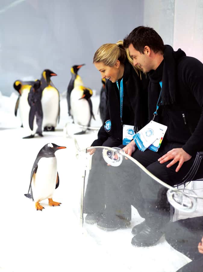 Melbourne: SEA LIFE Aquarium Entrance Ticket - Key things to know before you go