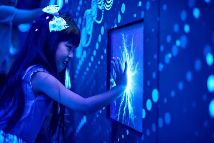 Melbourne: SEA LIFE Aquarium Entrance Ticket - Bay of Rays brings the animals close