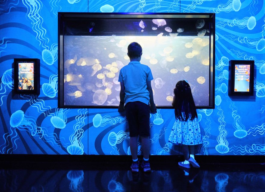 Melbourne: SEA LIFE Aquarium Entrance Ticket - Ocean Invaders makes jellyfish the stars