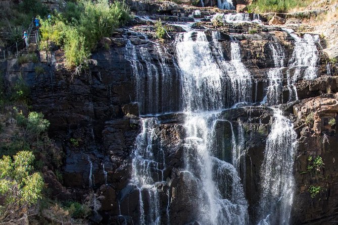 Melbourne to Adelaide: 3-Day Great Ocean Road Grampians Tour - The guides can shape the whole experience