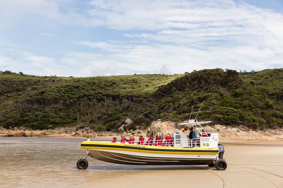 Melbourne: Wilsons Promontory Morning Wilderness Cruise - Key points to know before you book