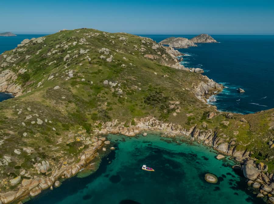 Melbourne: Wilsons Promontory Morning Wilderness Cruise - Seals, dolphins, and the limits of wildlife watching