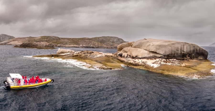 Melbourne: Wilsons Promontory Morning Wilderness Cruise - Is $109 good value for 150 minutes?