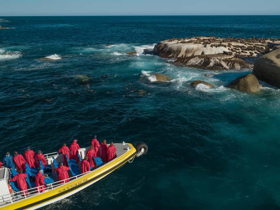 Melbourne: Wilsons Promontory Morning Wilderness Cruise - From Tidal River to South Point
