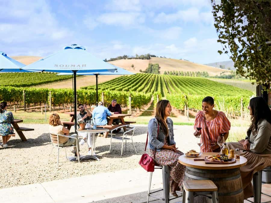 Melbourne: Yarra Valley Half-Day Wine Tour - Helen & Joey Estate: views and a polished first tasting