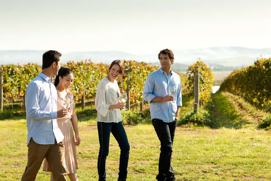 Melbourne: Yarra Valley Wine Bubbles & Kangaroos Tour - Cool-climate wines at Yering Station