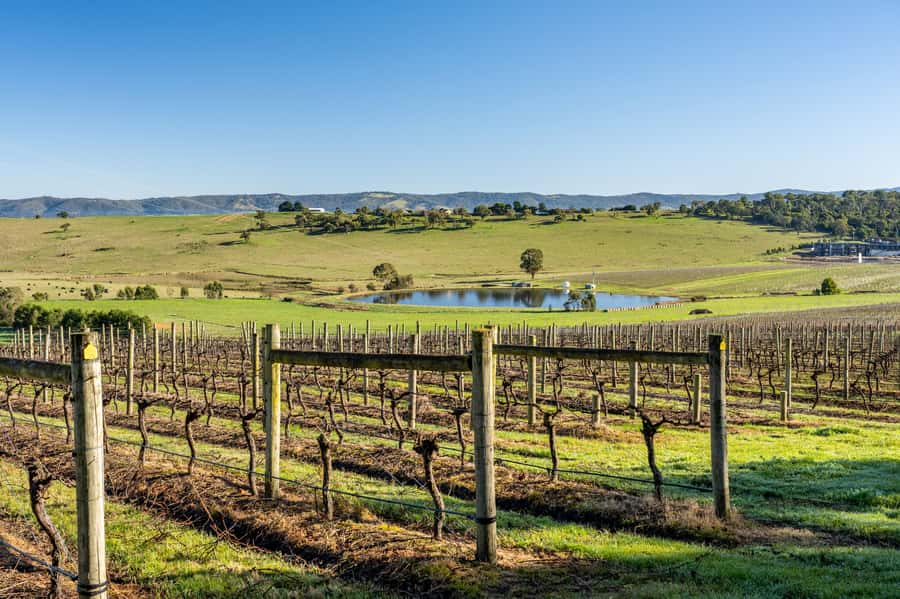 Melbourne: Yarra Valley Wine, Cider, Gin, Beer, & Choc Tour - Yering Farm, the first wine and cider stop
