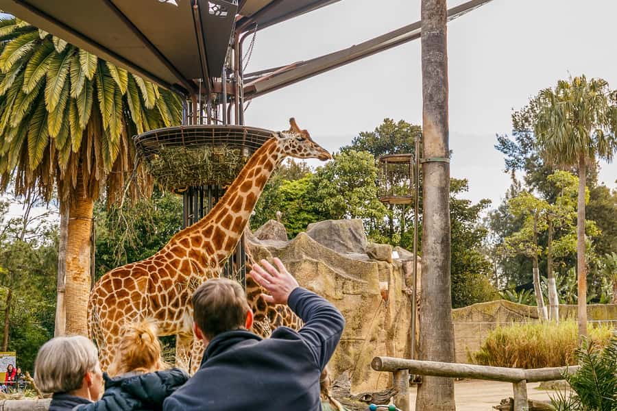 Melbourne Zoo: 1-Day Entry Ticket - Starting with Asian and African Animals
