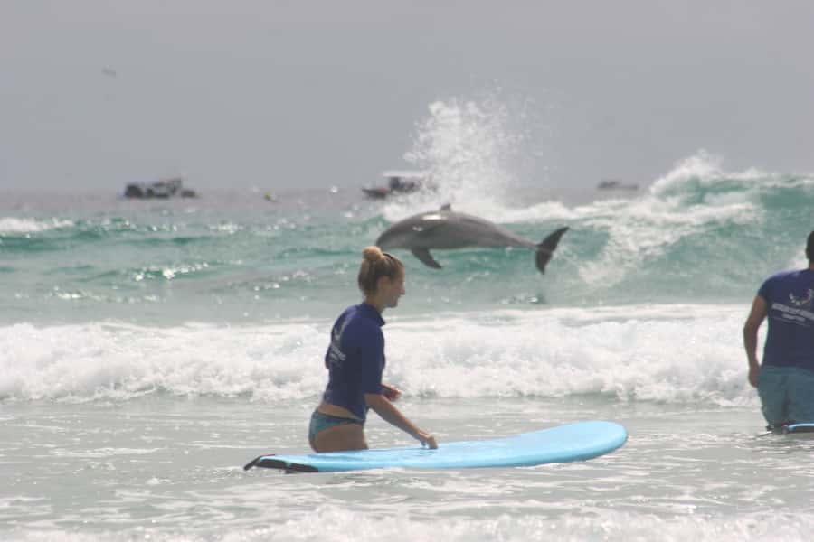Miami: Group Surf Lesson - The first part of the lesson: equipment and preparation