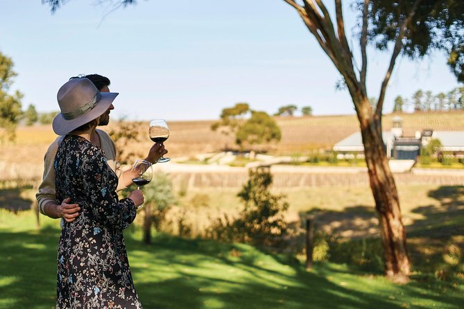 Micro-Group McLaren Vale Wine Tour from Adelaide - Shottesbrooke brings another cellar-door perspective