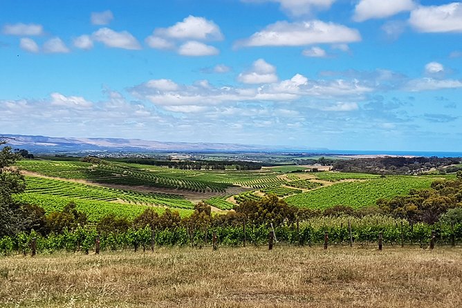 Micro-Group McLaren Vale Wine Tour from Adelaide - Samuel’s Gorge offers a relaxed final stop