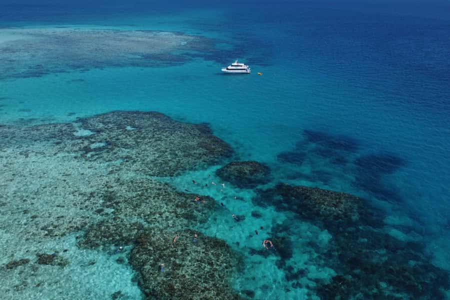 Mission Beach: Outer Great Barrier Reef & Dunk Island Tour - Key points at a glance