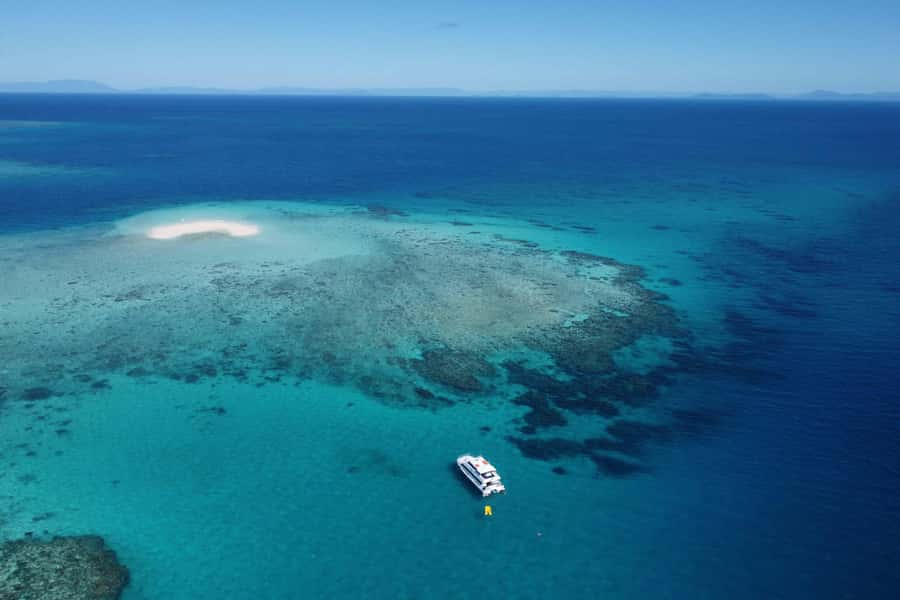 Mission Beach: Outer Great Barrier Reef & Dunk Island Tour - Dunk Island first, Beaver Reef next
