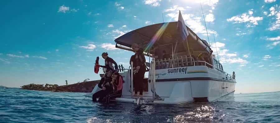 Mooloolaba: Snorkel with Turtles Mudjimba Island - One Hour Above Mudjimba Island’s Reef