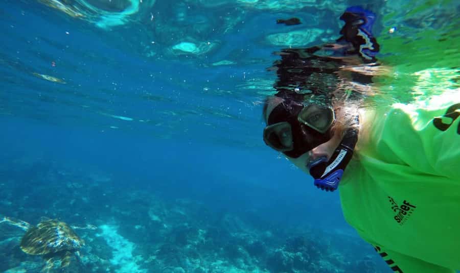 Mooloolaba: Snorkel with Turtles Mudjimba Island - Practical Tips For A Better Snorkel