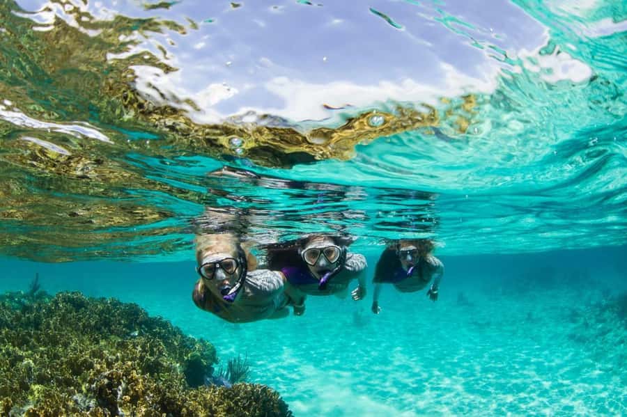Mooloolaba: Snorkel with Turtles Mudjimba Island - Getting Fitted Out With A 5 mm Wetsuit