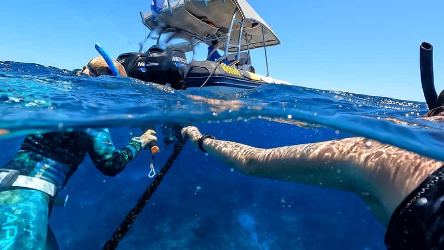 Mooloolaba: Turtle Snorkel & Swim at Mudjimba Island - Mudjimba Island, a sheltered place to look for turtles
