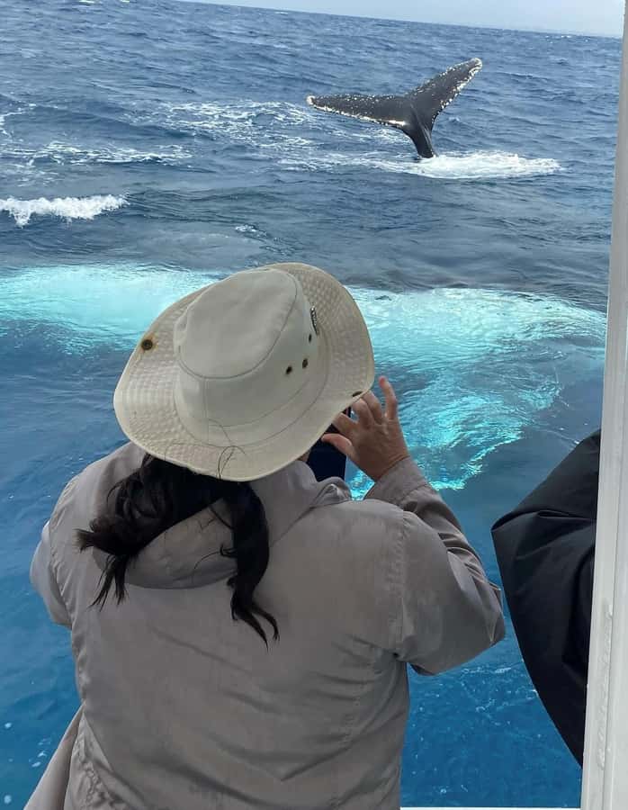 Mooloolaba: Whale Watching Cruise - Hearing whale song through the hydrophone