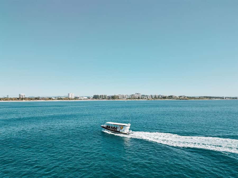 Mooloolaba: Whale Watching Cruise - Practical details that make the day easier