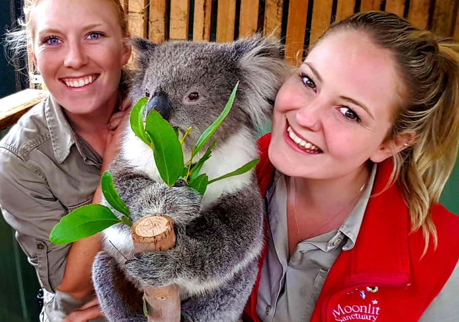 Moonlit Sanctuary Conservation Park Entry Ticket - Key points to know before you go