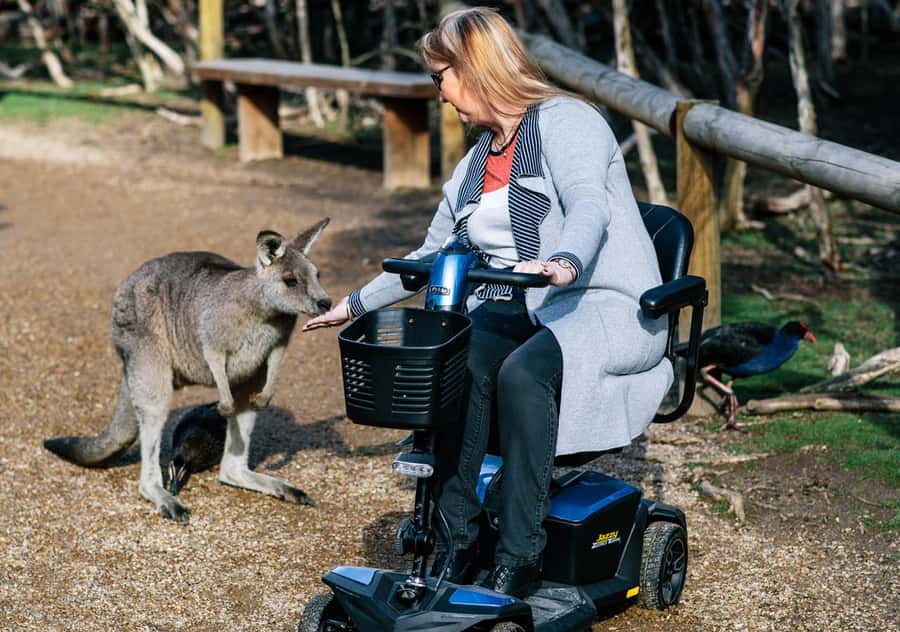 Moonlit Sanctuary Conservation Park Entry Ticket - Booking advice and final decision